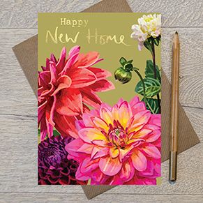 Dahlias