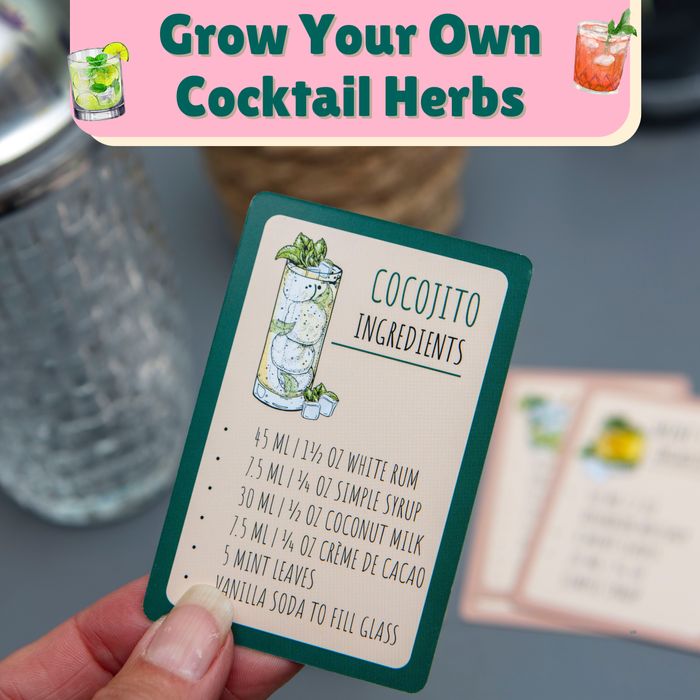 Seed to Sip: Home Grown Cocktails