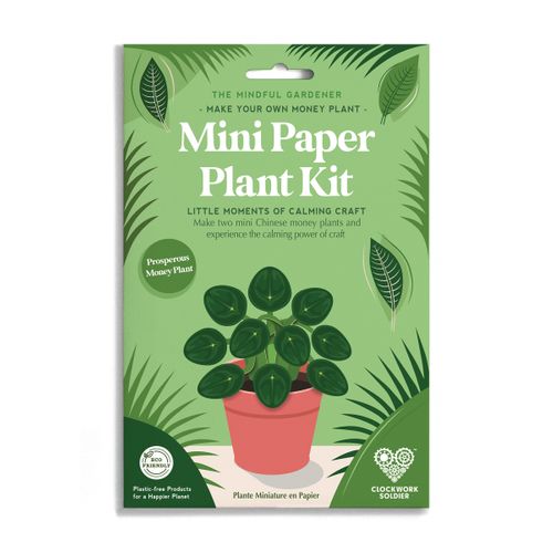 Make Your Own Prosperous Money Plant