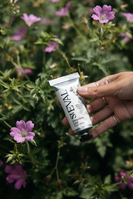 Introducing Geranium Leaf into the Hand Care range