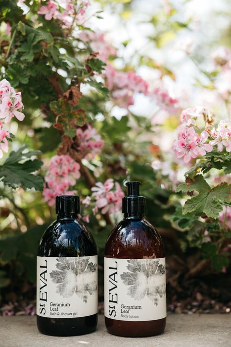 Introducing Geranium Leaf into the Hand Care range