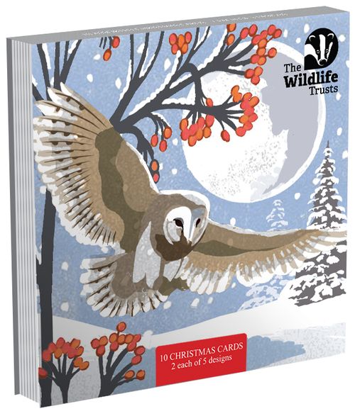 The Widlife Trusts - charity Christmas packs