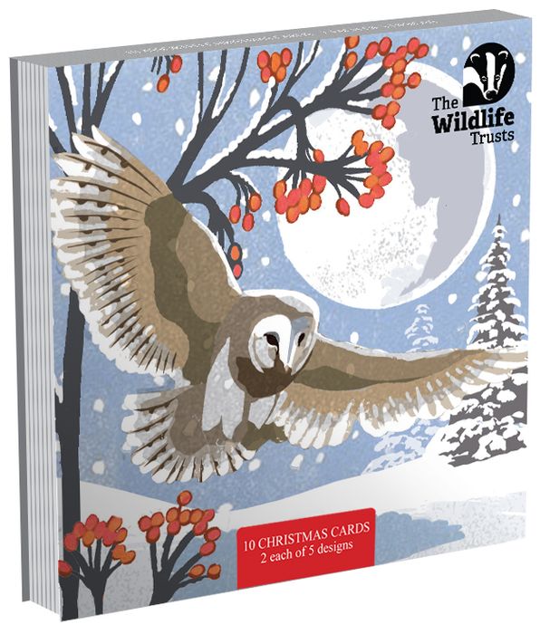 The Widlife Trusts - charity Christmas packs