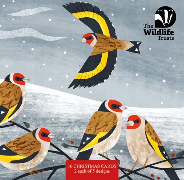 The Widlife Trusts - charity Christmas packs