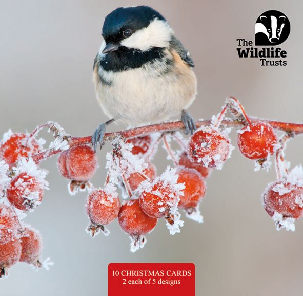 The Widlife Trusts - charity Christmas packs
