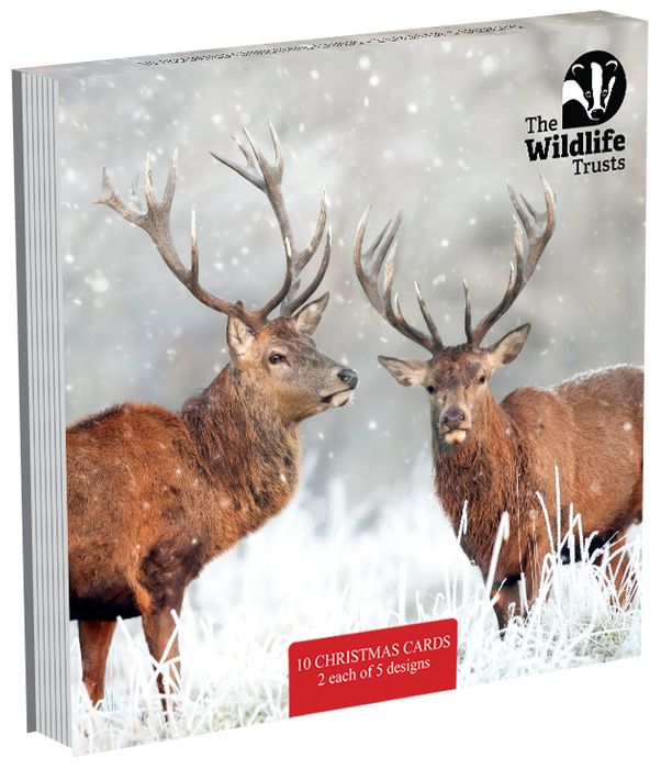 The Widlife Trusts - charity Christmas packs