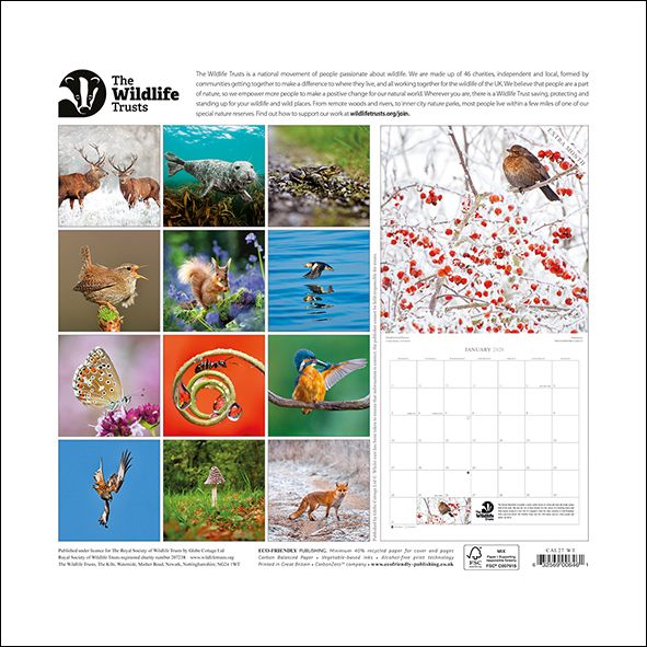 Wildlife Trusts 2027 calendar