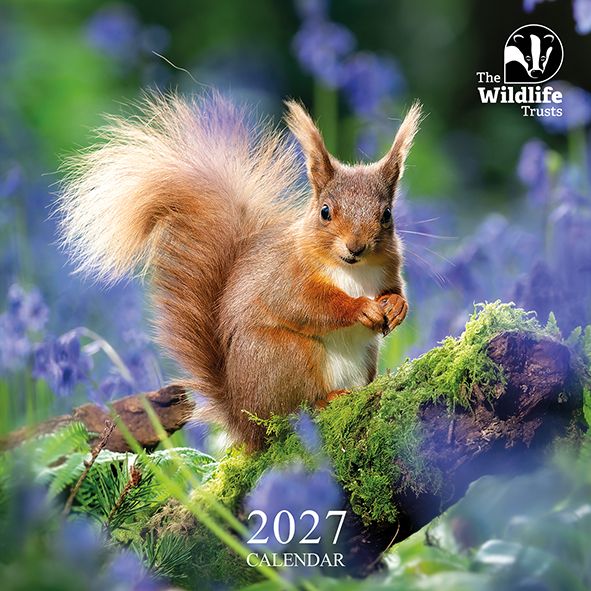 Wildlife Trusts 2027 calendar