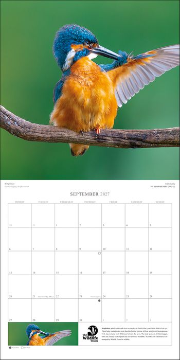 Wildlife Trusts 2027 calendar