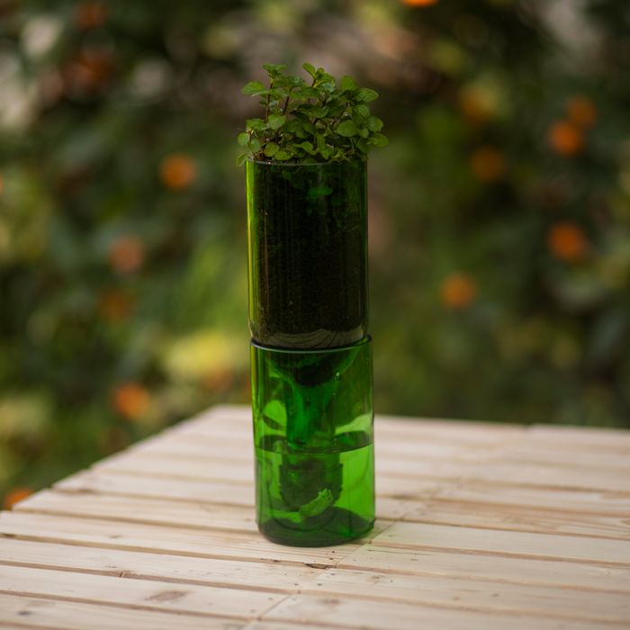 Self-Watering Upcycled Green Wine Bottle Planter