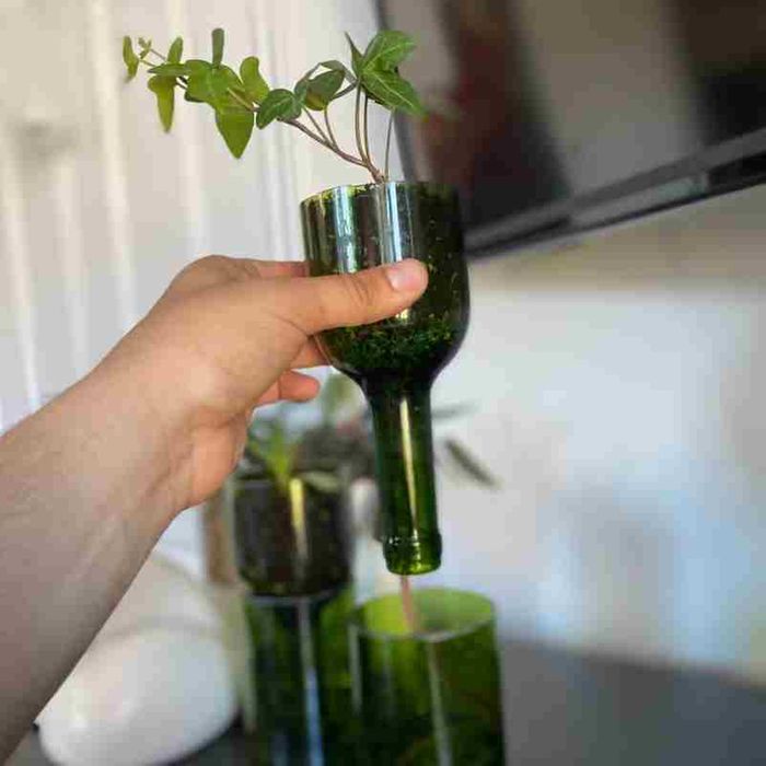 Self-Watering Upcycled Green Wine Bottle Planter