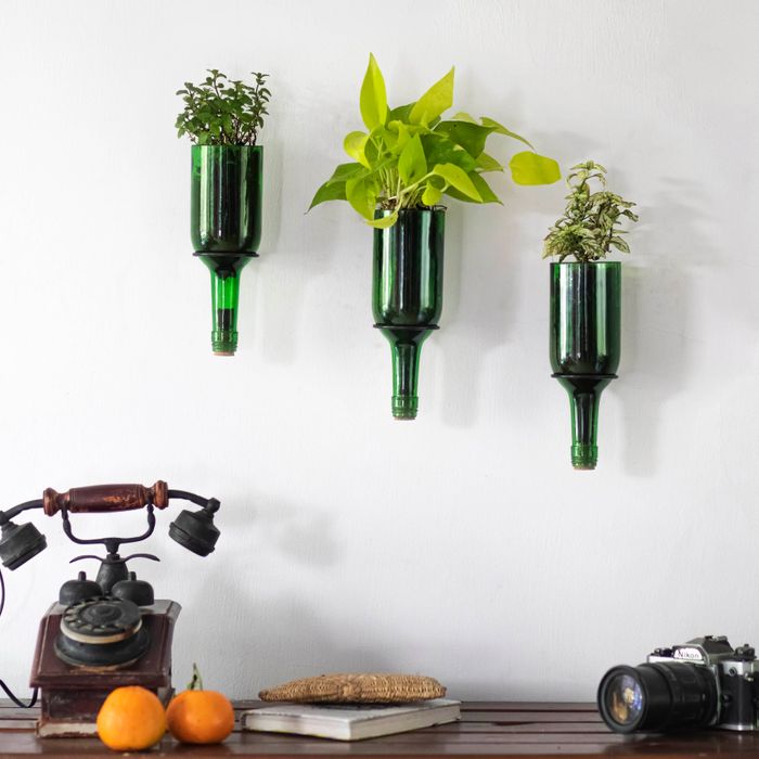 Upcycled Wall Mounted Wine Bottle Planter