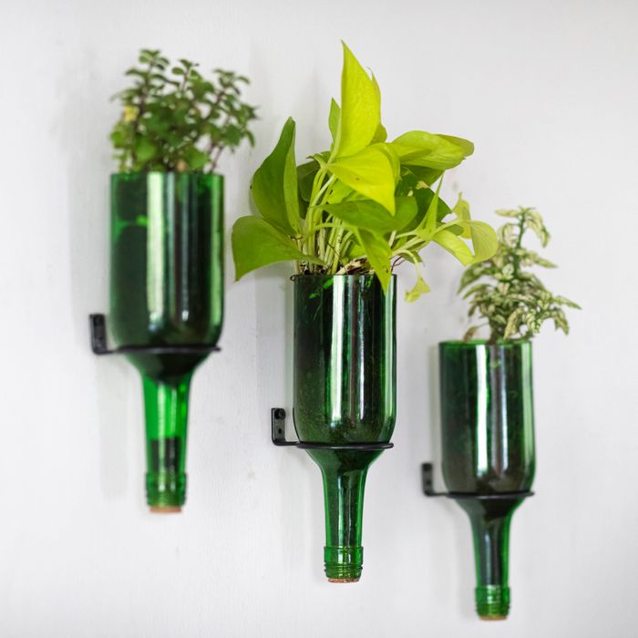 Upcycled Wall Mounted Wine Bottle Planter