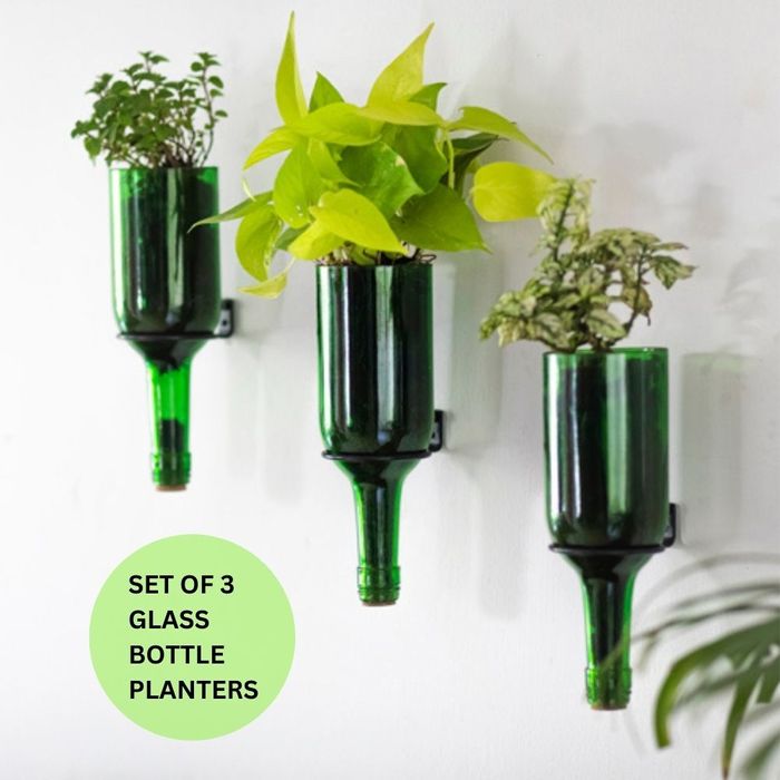 Upcycled Wall Mounted Wine Bottle Planter