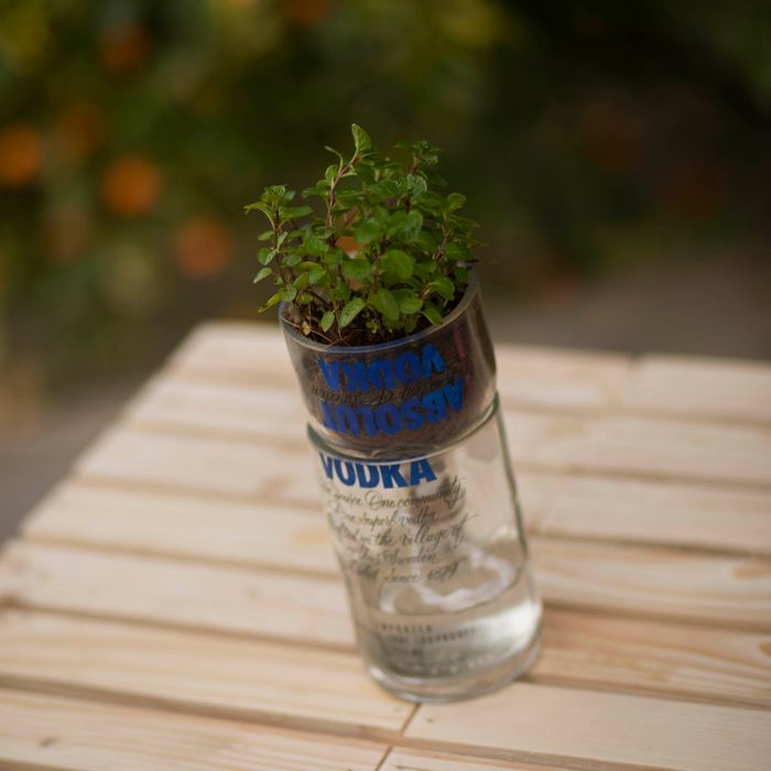 Absolut Vodka Self-Watering Upcycled Planter