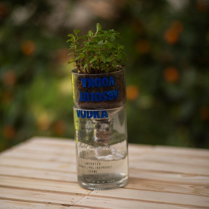 Absolut Vodka Self-Watering Upcycled Planter