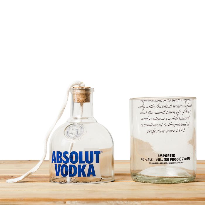 Absolut Vodka Self-Watering Upcycled Planter