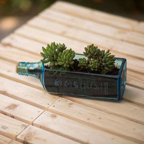 Bombay Sapphire Upcycled Blue Glass Planter
