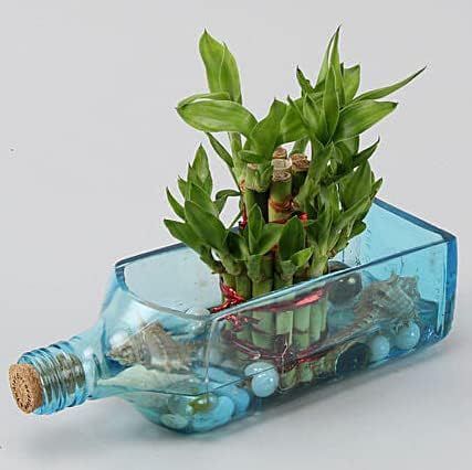 Bombay Sapphire Upcycled Blue Glass Planter