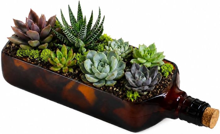 Ballantine's Upcycled Glass Planter