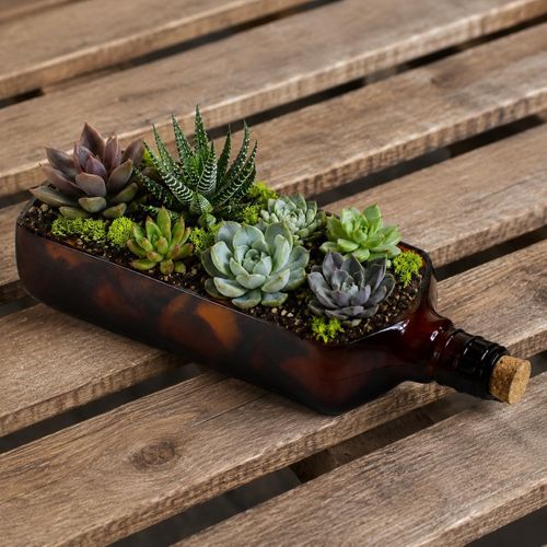 Ballantine's Upcycled Glass Planter