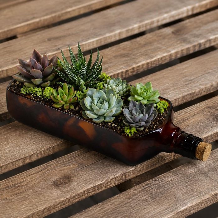 Ballantine's Upcycled Glass Planter