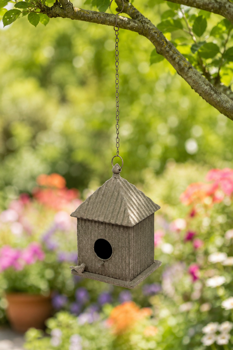Bird houses and bird feeders