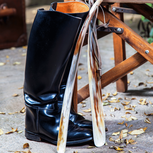 Horn Shoe Horns