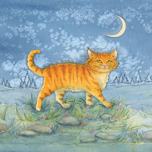 Midnight Stroll