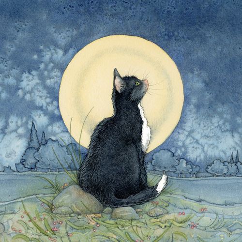 Beneath the Full Moon