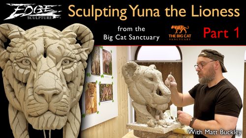 Edge Sculpture - Sculpting Yuna the Lioness - Part 1
