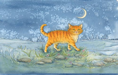 Cover image - Moongazer Cards Ltd