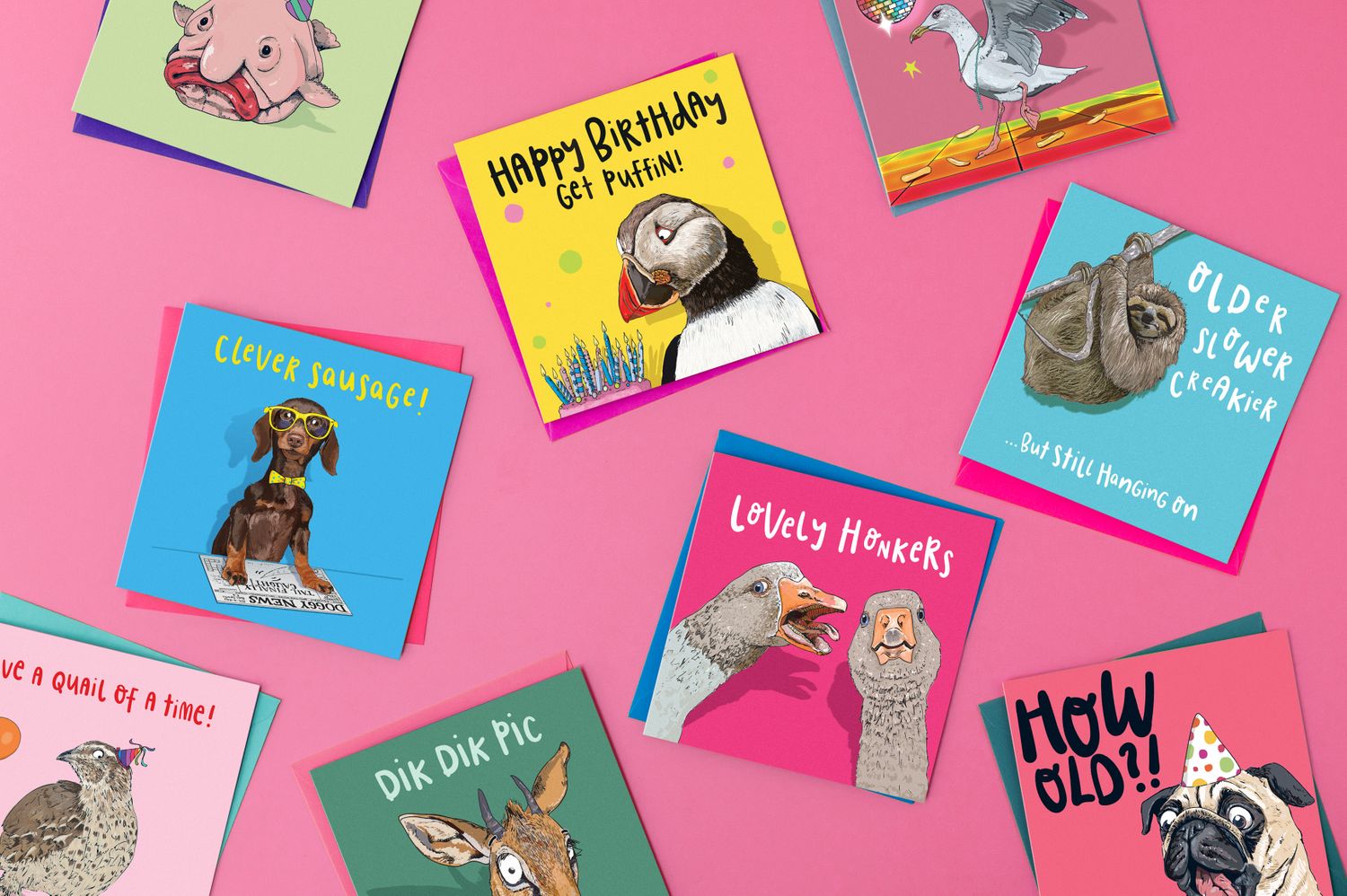 Cover image - Lovely Paper Stuff Ltd