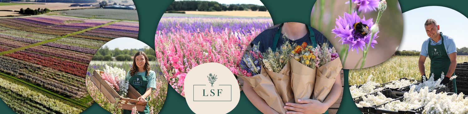 Cover image - LSF Wholesale