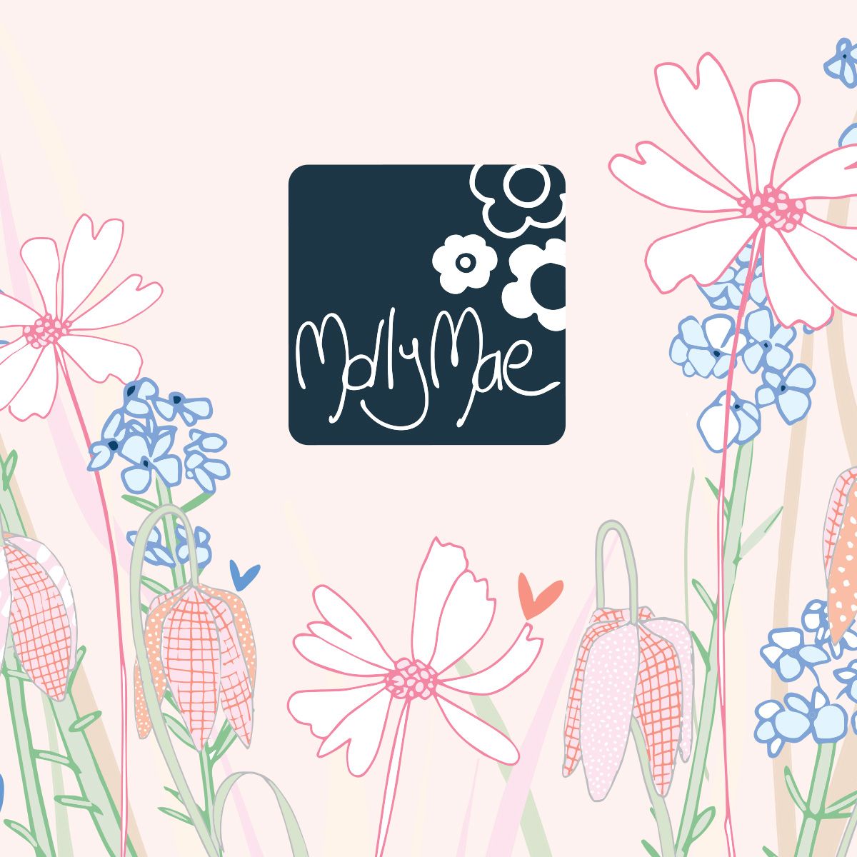 Molly Mae Limited