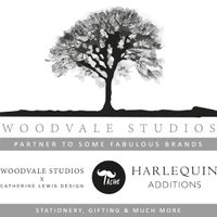 Company name - Woodvale Studios ltd