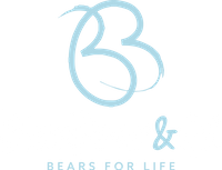 Company name - Blue Bear & Co.