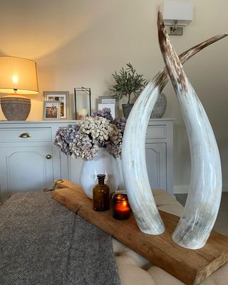 Exhibitor profile image for Ankole