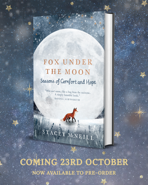 A Big Break Wrapped in Kindness: Fox Under The Moon's New Chapter Debuts at Home & Gift