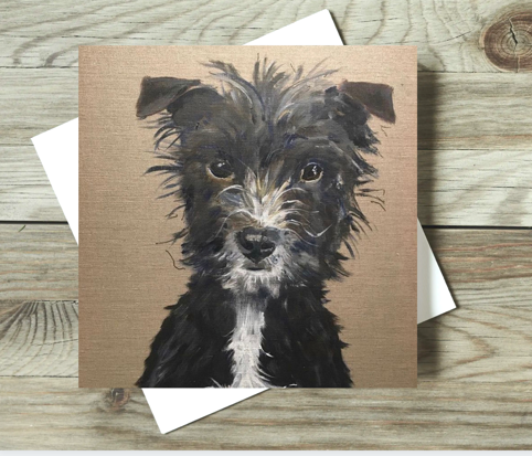 Dotty the Terrier