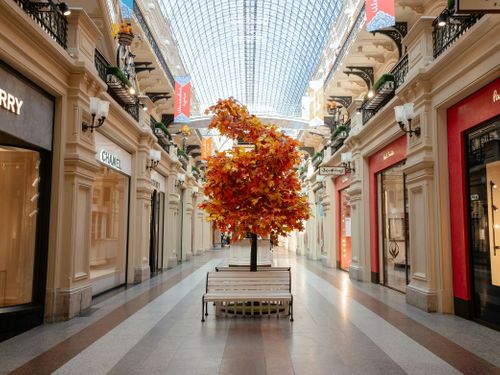 Autumn Retail Trends: How Indies Can Win This Season