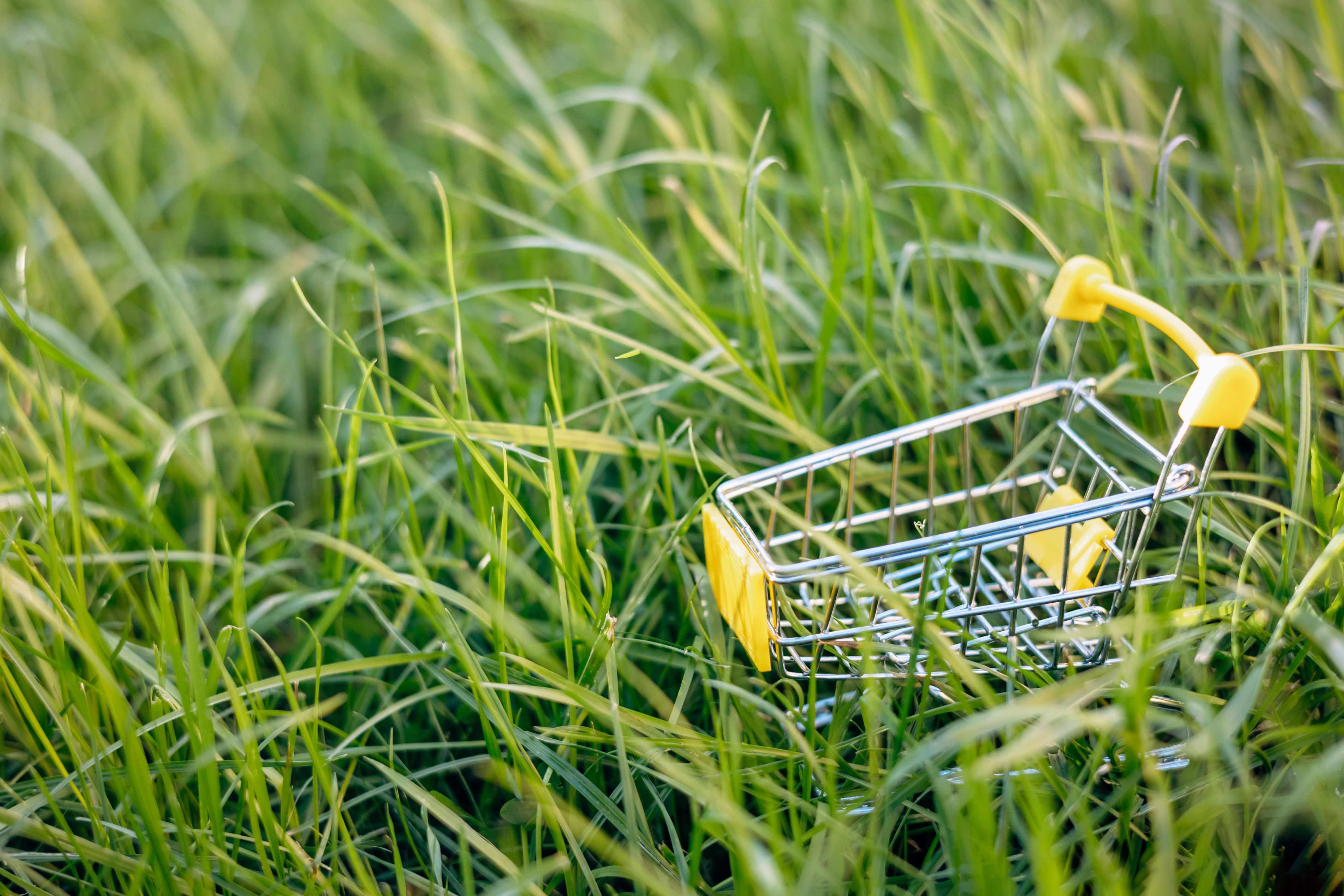 trolley grass
