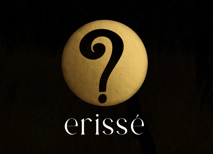 Erisse Brochure 2025