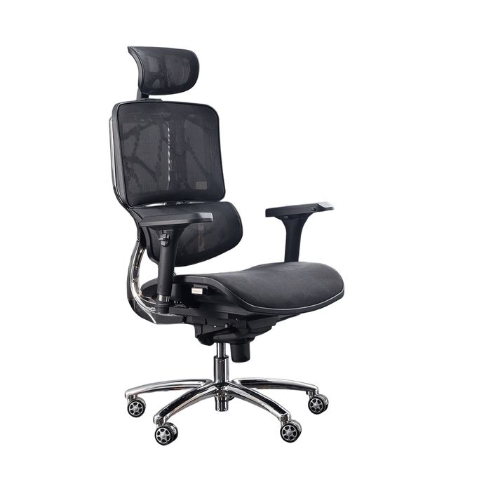 WPHOME Executive High-Back Ergonomic Desk Office Chair with 3D Adjustable Armrests,  Headrest and Mesh Lumbar Support -Rolling Swivel Chair for Workspaces, Office and home .