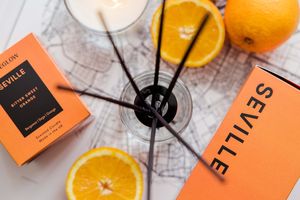 The Explorer Collection