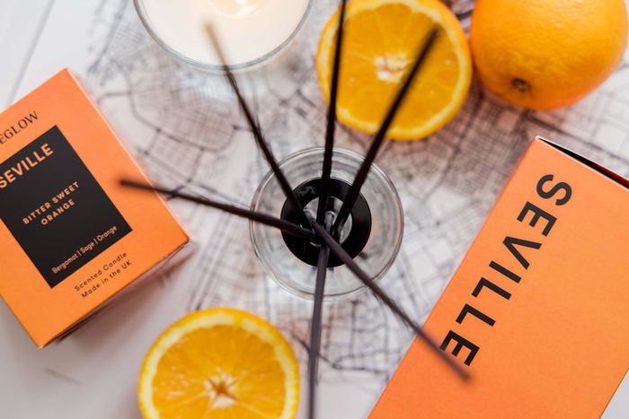 The Explorer Collection