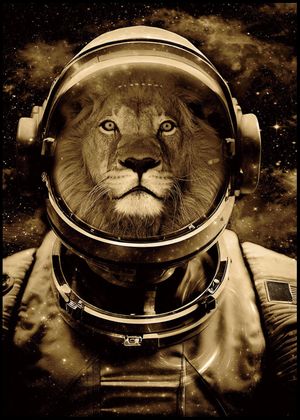 SC231122 PS Frame Glass Art