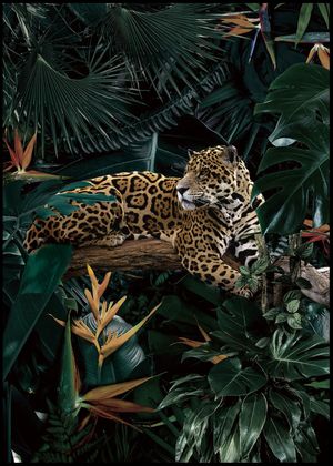 SC240224 PS Frame Glass Art