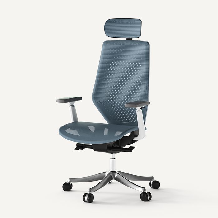 Mesh Ergonomic Office Chair BS11 PRO