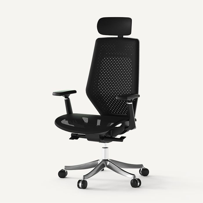 Mesh Ergonomic Office Chair BS11 PRO